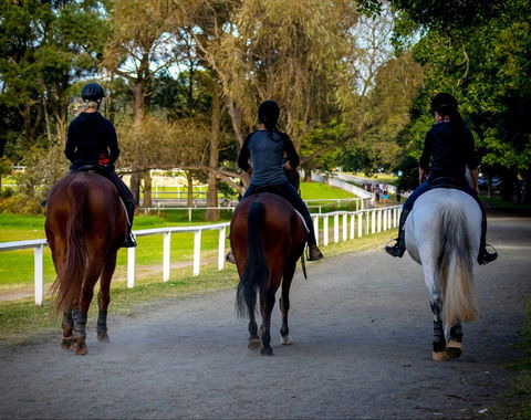 Centennial Stables - Attractions Sydney 0