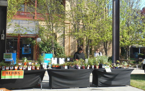 Clare Show Market - Attractions Sydney 0