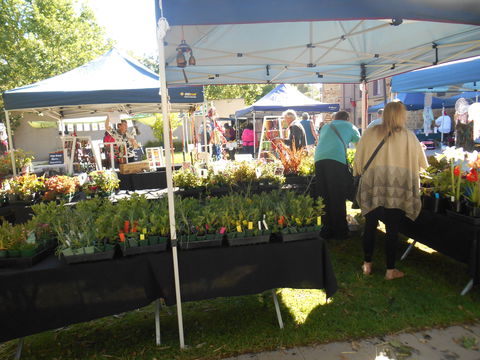 Clare Show Market - Attractions Sydney 1