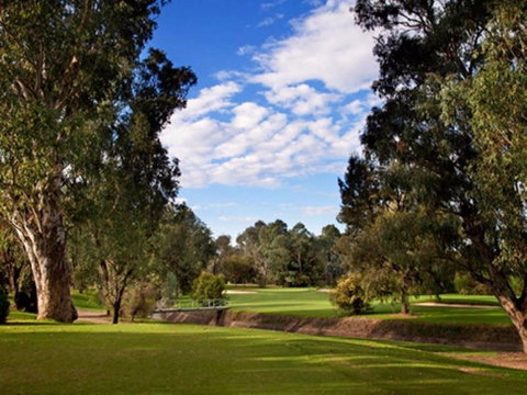 Commercial Golf Course - Attractions Sydney 0