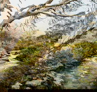 Dead Horse Gap walking track - Attractions Sydney