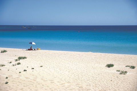 Eagle Bay - Attractions Sydney 0