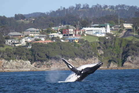 Eden - Attractions Sydney 2
