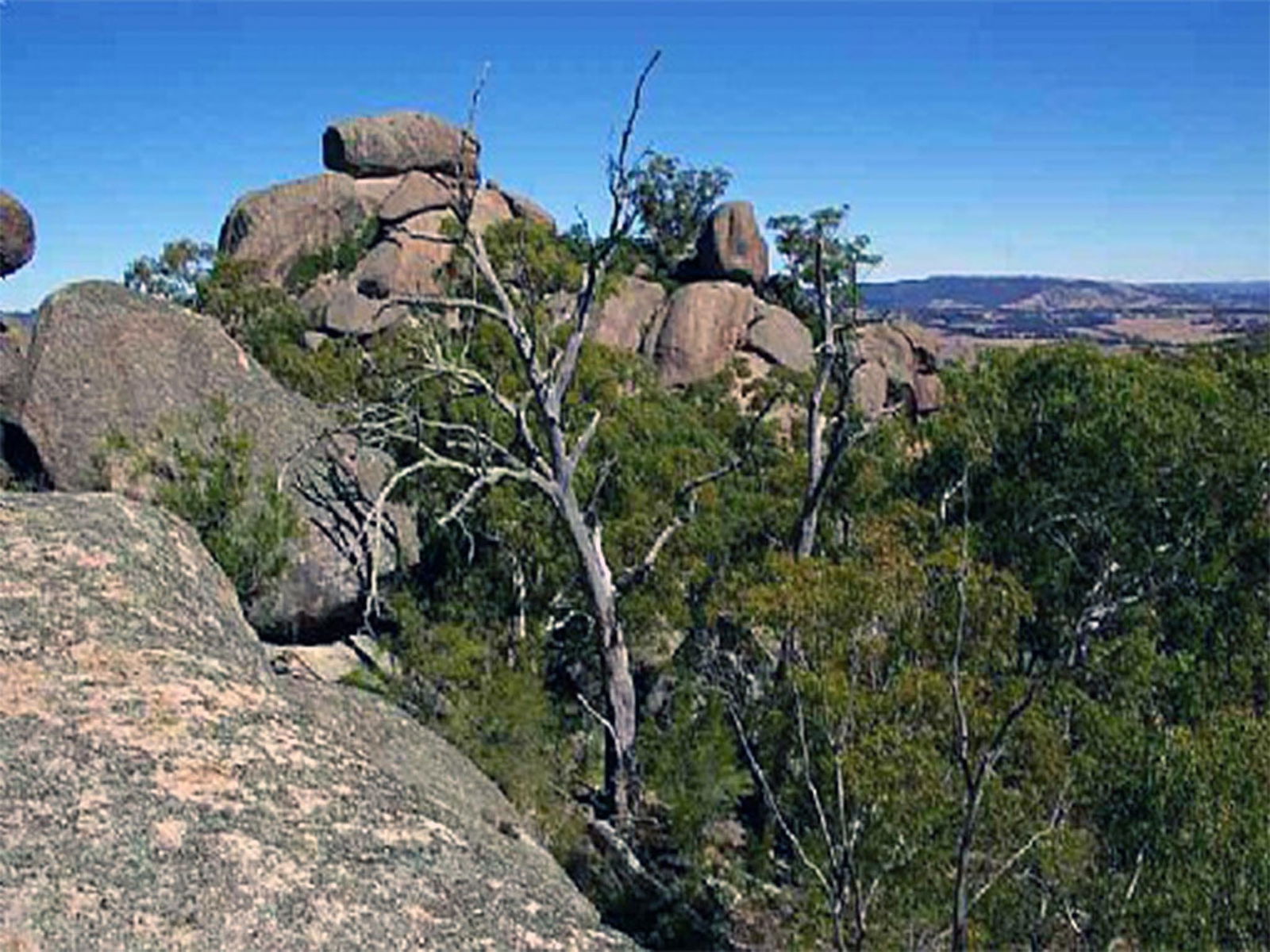 Tarana NSW Attractions Sydney