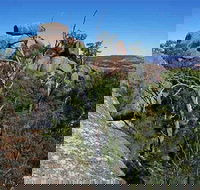 Evans Crown Nature Reserve - Attractions Sydney