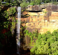 Fitzroy Falls - Attractions Sydney