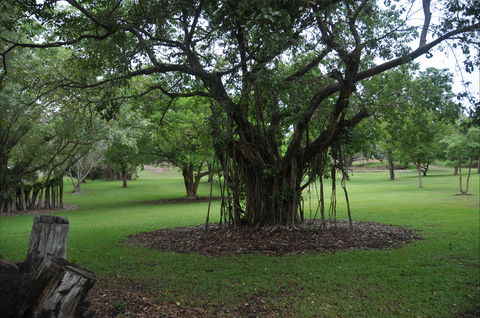 Frog Hollow - Attractions Sydney 1