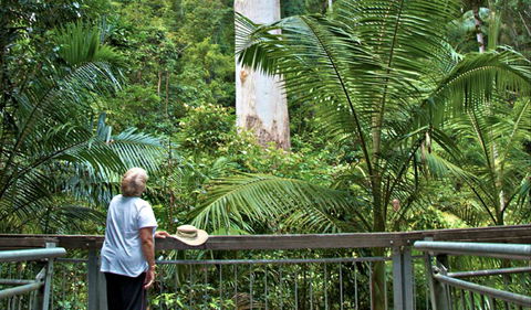 Grandis Picnic Area - Attractions Sydney 0