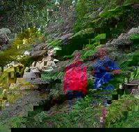 Grand Strzelecki Track - Attractions Sydney