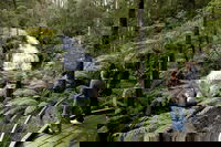 Great Otway National Park