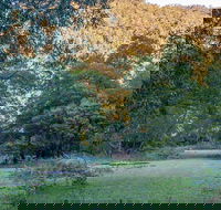 Griffins walking track - Attractions Sydney