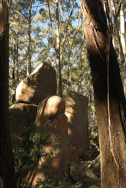 Gulaga National Park - Attractions Sydney 0