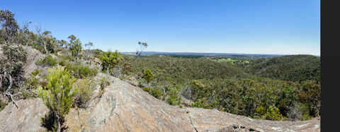Hale Conservation Park - Attractions Sydney 0