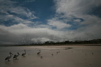 Hardwicke Bay