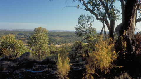 Heathcote-Graytown National Park - Attractions Sydney 0