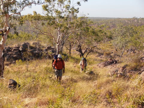 Jatbula Trail - Attractions Sydney 0