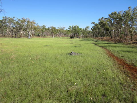 Jatbula Trail - Attractions Sydney 2