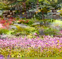 Jurassic Garden AR Experience - Attractions Sydney
