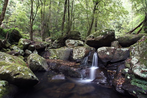 Kangaroo River - Attractions Sydney 0