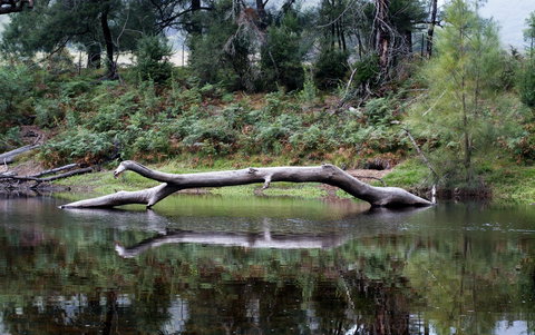 Kayaking Upper Tuross River And Bumbo Lake - Attractions Sydney 0