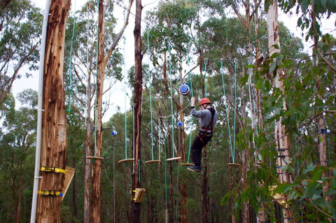 Kinglake Forest Adventures - Attractions Sydney 0