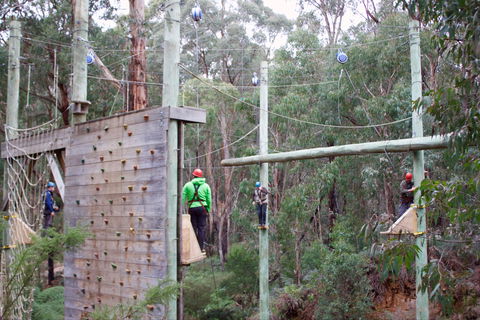 Kinglake Forest Adventures - Attractions Sydney 1