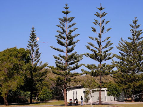 Kurrawa Park - Attractions Sydney 0