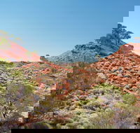 Lark Quarry Conservation Park - Attractions Sydney