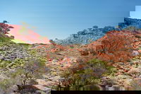 Lark Quarry Conservation Park