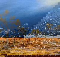 Lyn Barnes Gallery - Attractions Sydney