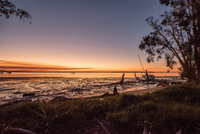 Macleay Island Jencoomercha