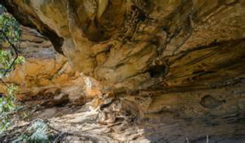 Marramarra National Park - Attractions Sydney 0