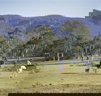 Megalong Valley - Attractions Sydney