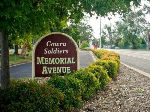Memorial Avenue In Cowra - Attractions Sydney 0