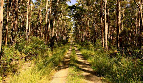Mining Road Fire Trail, Old Gibber Road Rire Trail - Attractions Sydney 0