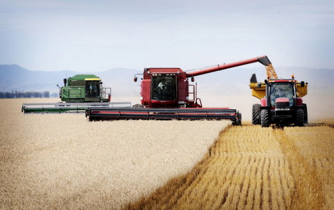 Mullaley - Attractions Sydney 0