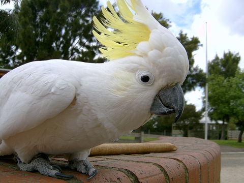 Myuna Farm - Attractions Sydney 1
