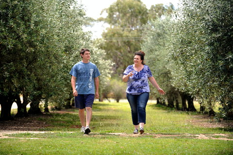 Olives Of Beaulieu - Attractions Sydney 0