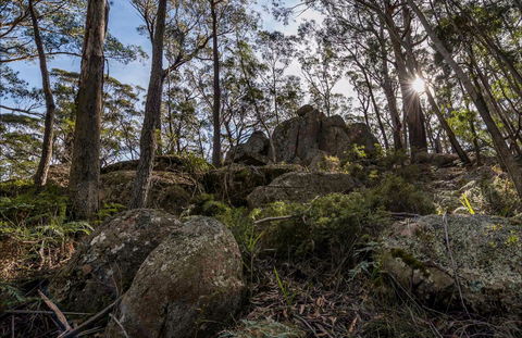 Pheasants Peak Walking Track - Attractions Sydney 0