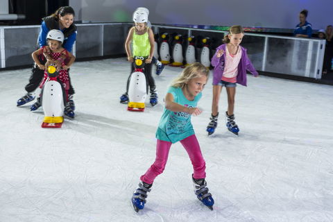 Planet Chill Ice Skating Rink - Attractions Sydney 0