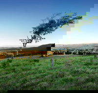 Ravensbourne National Park - Attractions Sydney