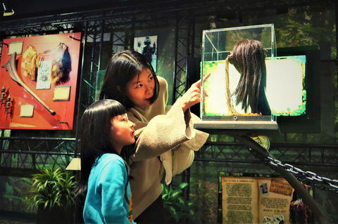 Ripleys Believe It Or Not! Odditorium - Attractions Sydney 2