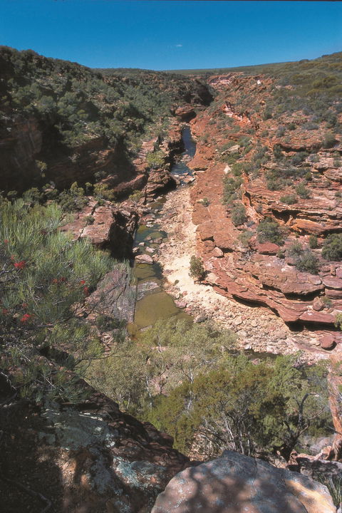 Ross Graham Lookout - Attractions Sydney 0