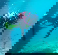 Shellharbour Scuba  and Photography Centre - Attractions Sydney