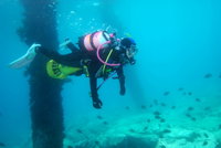 Shellharbour Scuba  and Photography Centre