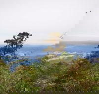 Slingsbys Trail and Syndicate Ridge Track - Attractions Sydney