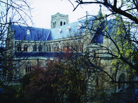 St Saviour's Anglican Cathedral - Attractions Sydney 2