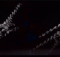 Sydney Dance Company - Attractions Sydney