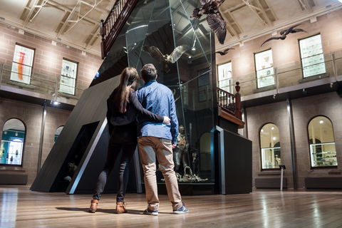 Tasmanian Museum And Art Gallery - Attractions Sydney 1