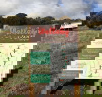 The Wallaby Track - Attractions Sydney